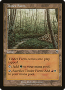 Tinder Farm (INV-329) [Invasion] Foil