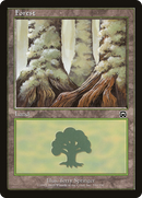 Forest (MMQ-350) [Mercadian Masques]