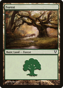 Forest (AVR-244) [Avacyn Restored] Foil