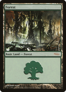 Forest (2004) (ARENA-005) [Arena League 2004]