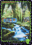 Forest (SLD-1656) [Secret Lair Drop] Foil