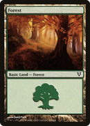 Forest (AVR-243) [Avacyn Restored]