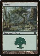 Forest (10E-382) [Tenth Edition]