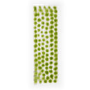 AK8243: Tufts - Light Green Tufts 2mm