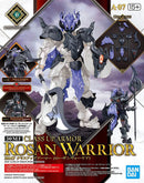 30MF Class Up Armor (Rosan Warrior)
