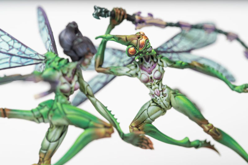 Weaver Courts: Scalie Dancer [Jan 2026]