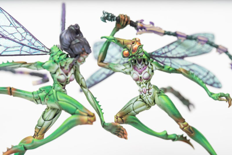 Weaver Courts: Scalie Dancer [Jan 2026]