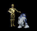 Star Wars: C-3PO & R2-D2 1/12 Scale Model Kit