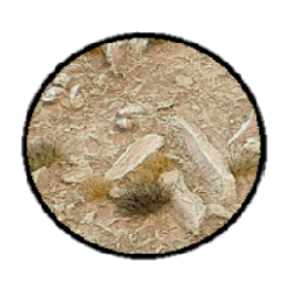 GamersGrass Battle Ready Bases: Arid Steppe (25-170mm)