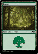 Forest (WOE-275) [Wilds of Eldraine] Foil