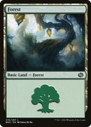 Forest (BRO-276) [The Brothers' War] Foil