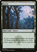 Forest (AFR-279) [Adventures in the Forgotten Realms] Foil