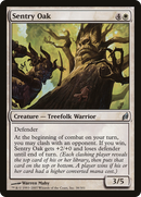 Sentry Oak (LRW-038) [Lorwyn] Foil