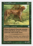 Trained Cheetah (PTK-155) [Portal Three Kingdoms]