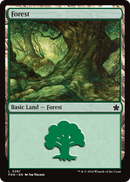 Forest (FDN-281) [Foundations]