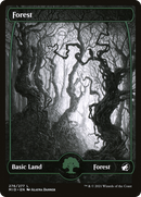 Forest (MID-276) (Showcase) [Innistrad: Midnight Hunt] Foil