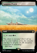 Sungrass Prairie (Extended Art) (WHO-521) [Doctor Who]