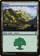 Forest (C19-300) [Commander 2019]