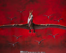 Godzilla: S.H.MonsterArts Rodan [2021] the Second Form