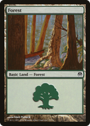 Forest (DDE-071) [Duel Decks: Phyrexia vs. the Coalition]