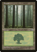 Forest (Ferns on Ground) [Portal]