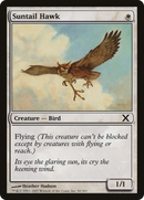 Suntail Hawk (10E-050) [Tenth Edition]