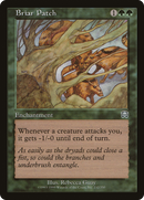 Briar Patch (MMQ-232) [Mercadian Masques] Foil