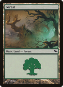 Forest (SHM-300) [Shadowmoor] Foil