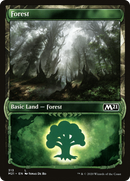 Forest (Showcase) (M21-313) [Core Set 2021] Foil