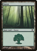 Forest (10E-381) [Tenth Edition] Foil