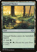 Tranquil Thicket (MH1-248) [Modern Horizons] Foil