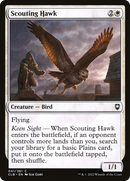 Scouting Hawk (CLB-041) [Commander Legends: Battle for Baldur's Gate] Foil