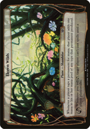 Eloren Wilds (Planechase Anthology) (OVER-021) [Planechase Anthology Planes]