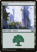 Forest (SNC-270) [Streets of New Capenna]