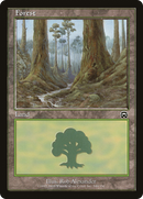 Forest (MMQ-349) [Mercadian Masques] Foil