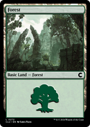 Forest (CLU-272) [Ravnica: Clue Edition]