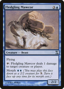 Fledgling Mawcor (TSP-063) [Time Spiral]