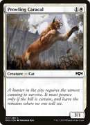 Prowling Caracal (RNA-017) [Ravnica Allegiance]