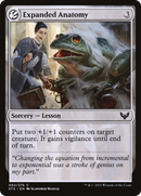 Expanded Anatomy (STX-002) [Strixhaven: School of Mages] Foil