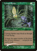 Canopy Spider (7ED-234) [7th Edition] Foil