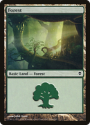 Forest (ZEN-246A) [Zendikar]
