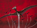 Godzilla: S.H.MonsterArts Rodan [2021] the Second Form