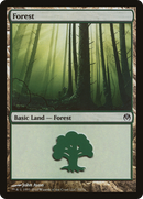 Forest (DDE-070) [Duel Decks: Phyrexia vs. the Coalition]