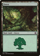 Forest (DD3-031) (Garruk vs Liliana) [Duel Decks Anthology: Garruk vs. Liliana]