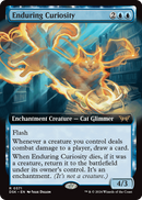 Enduring Curiosity (Extended Art) (DSK-371) [Duskmourn: House of Horror]