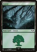 Forest (40K-317) [Warhammer 40,000 Commander] Foil