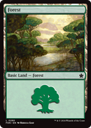 Forest (FDN-280) [Foundations]