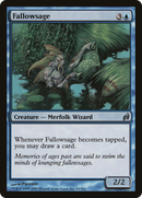 Fallowsage (LRW-063) [Lorwyn] Foil