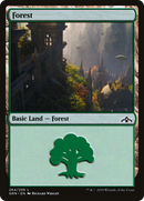 Forest (GRN-264) [Guilds of Ravnica]