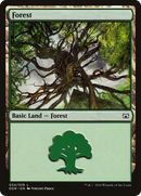 Forest (DDR-034) [Duel Decks: Nissa vs. Ob Nixilis]